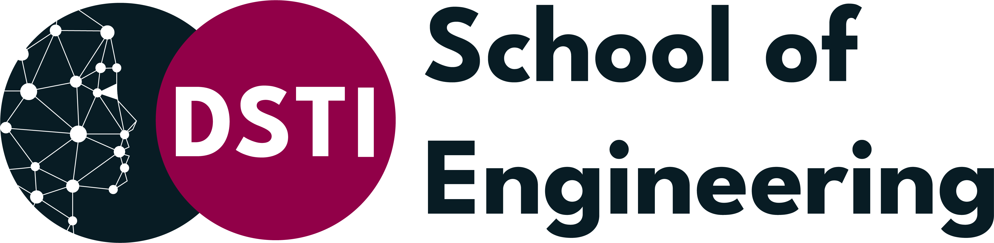 Logo école DSTI